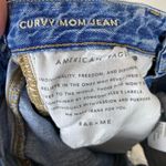 American Eagle  Vintage Wash High Rise Curvy Mom Jeans Photo 2