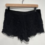 Love, Fire Black Lace Shorts Size Medium Photo 1