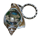 Unbranded Seashell Keychain One Size Brown White Photo 0