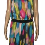 The Limited Water Color Dress Photo 0