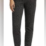 Rails  Kingston Charcoal Mini Cheetah
Print Joggers Photo 5