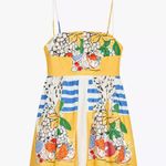 ZARA  Fruit Poplin Dress Photo 7