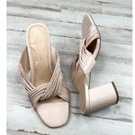 Adrienne Vittadini Beige Strappy Open Toe Block Heel Sandal Size8 Photo 1