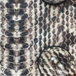 Talbots Bag Leather Black Crossbody Animal Print Photo 3