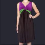 Suzi Chin  Vibrant Purple and Green Midi Dress Photo 1