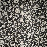 Rachel Zoe FINAL PRICE NWOT  Top Photo 5