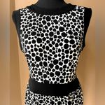 Talbots Animal Print Dress PETITE Photo 1