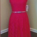 Modcloth Hot Pink Lace Belted Fit & Flare Party Dress London Style Barbie Size 4 Photo 0