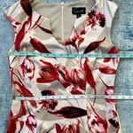 Connected Apparel Off White Taupe Red Floral Sleeveless Dress Size 4 Photo 6