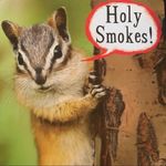 Pistola Revolve Distressed Skinny Crop Jeans in White Size 27 Photo 11