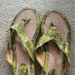 Boc born concepts lime green snakeskin pattern thong rubber beach sandals size 9 Photo 1