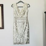 Tadashi Shoji Embroidered Lace & Sequin V-Neck Off-White Sheath Dress Size 0 Photo 1