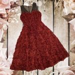 Anthropologie  Tracy Reese Maroon 3D Floral Rose Cocktail Dress NWT Photo 7