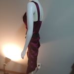 Le chateau NWT  Berry Dress with Black Flower Belt Photo 3