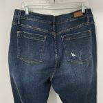Judy Blue  Manchester High Waisted Button Fly Skinny Jeans Photo 7