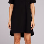 BCBGMAXAZRIA BCBGMaxAzaria Straight Shift Short Sleeve Knee Length Aisha Dress Black X-Small Photo 0