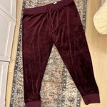 Champion Elite Velour Joggers Photo 3