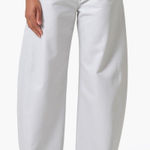 AGOLDE NWT  Luna High Waist Barrel Leg Leather Blend Pants in Wisp Sz 25 $348 Photo 0