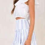 Princess Polly NWOT  Salt Water Blue/White Stripe Mini Skirt Photo 2