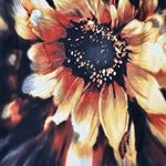 Saint Tropez West Dress Womens 14 Black Yellow Floral Sheath Sunflower Colorful Photo 5