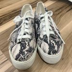 Superga  Snakeskin Print Platform Sneakers Photo 3