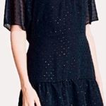All Saints sequin ruffle dress Photo 0