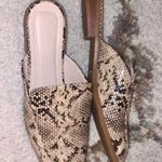 Snake print Mule Slides Like New Multiple Size 7.5 Photo 0