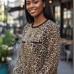 ZARA  Cheetah Animal Print Blouse Career Business Casual Evening out Small Photo 0