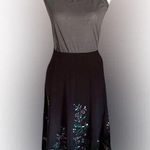Sunny Leigh Embroidered Full Skirt, Elegant and Fun, Delicate Details, Size 6 Photo 0