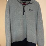 Patagonia marsupial Photo 0