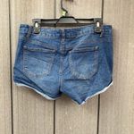 Bongo  Distressed Denim‎ Shorts Photo 3