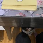 Radley London  Yellow Wallet Photo 1