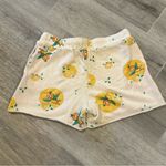 Disney  Parks Florida Orange Bird Graphic Shorts Women’s Size Small Classic Photo 2