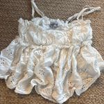 Grey Bandit  White Top Photo 2