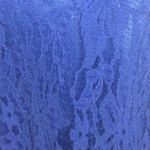 Lush Clothing LUSH blue lace mini dress lined with V back Photo 1