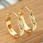 Polished Metal Texture Gold Hoop Earrings for Women Photo 3