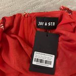 Jagger and Stone Red Paisley Dress Photo 4