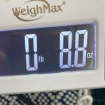 Chico's Weekends By  3 Shirt Womens XL Striped V Neck Short Sleeves Stretch Photo 10