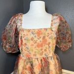 Endless Rose Puff Sleeve Mini Dress Photo 5