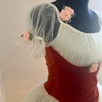 Small Tulle Costume Dress Photo 2