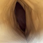 Sundance  Boho Harness Tan Leather Boots size 37 Photo 6