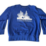 American Eagle Vintage-inspired Colorado Blue Women's Oversized Sweatshirt Size XS Photo 0