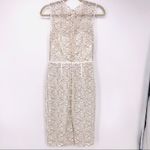 Jill Stuart Jill Love Glow Sheath Dress White Black Lace Illusion Neckline Sz 2 Photo 3