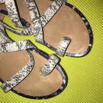 CAbi Strappy Gladiator Sandals 7 Photo 3