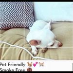 Wildfox ππ¦ π₯³ Host Pick π₯³ Swim third eye crop tank top only NWT Photo 11