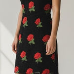 Forever 21 Black and Red Rose Lace Y2K Midi Dress V-Neck Sexy Gothic Large Sleeveless Sexy Photo 0
