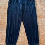 Club Monaco  Velour Jogger  Pants L Photo 0