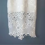 Bardot Indra Ivory Lace Sheath Dress Photo 6