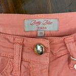 Elizabetta Franchi Betty Blue Orange Studded Shorts Size 26/2 Made in Italy Photo 2