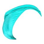 Victoria's Secret  cheeky women’s large sea-foam green shimmer bikini bottom Photo 2